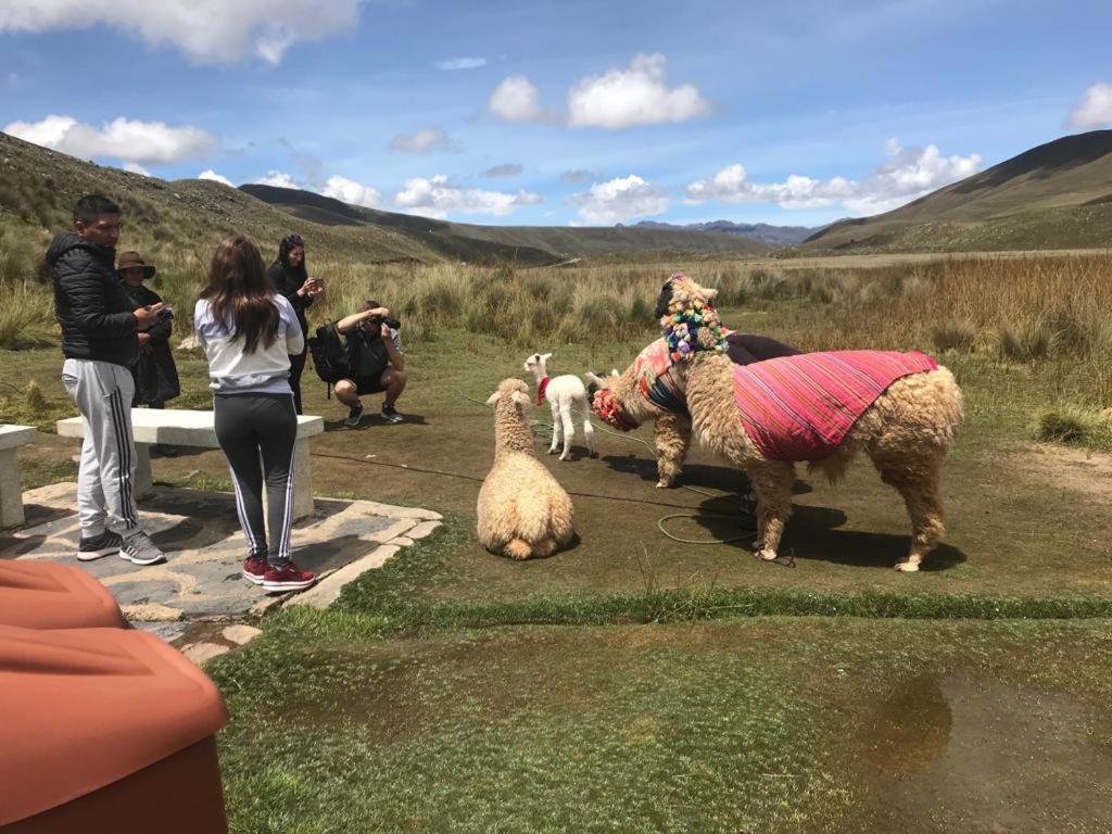 Bed and Breakfast Amazing Huaraz Экстерьер фото