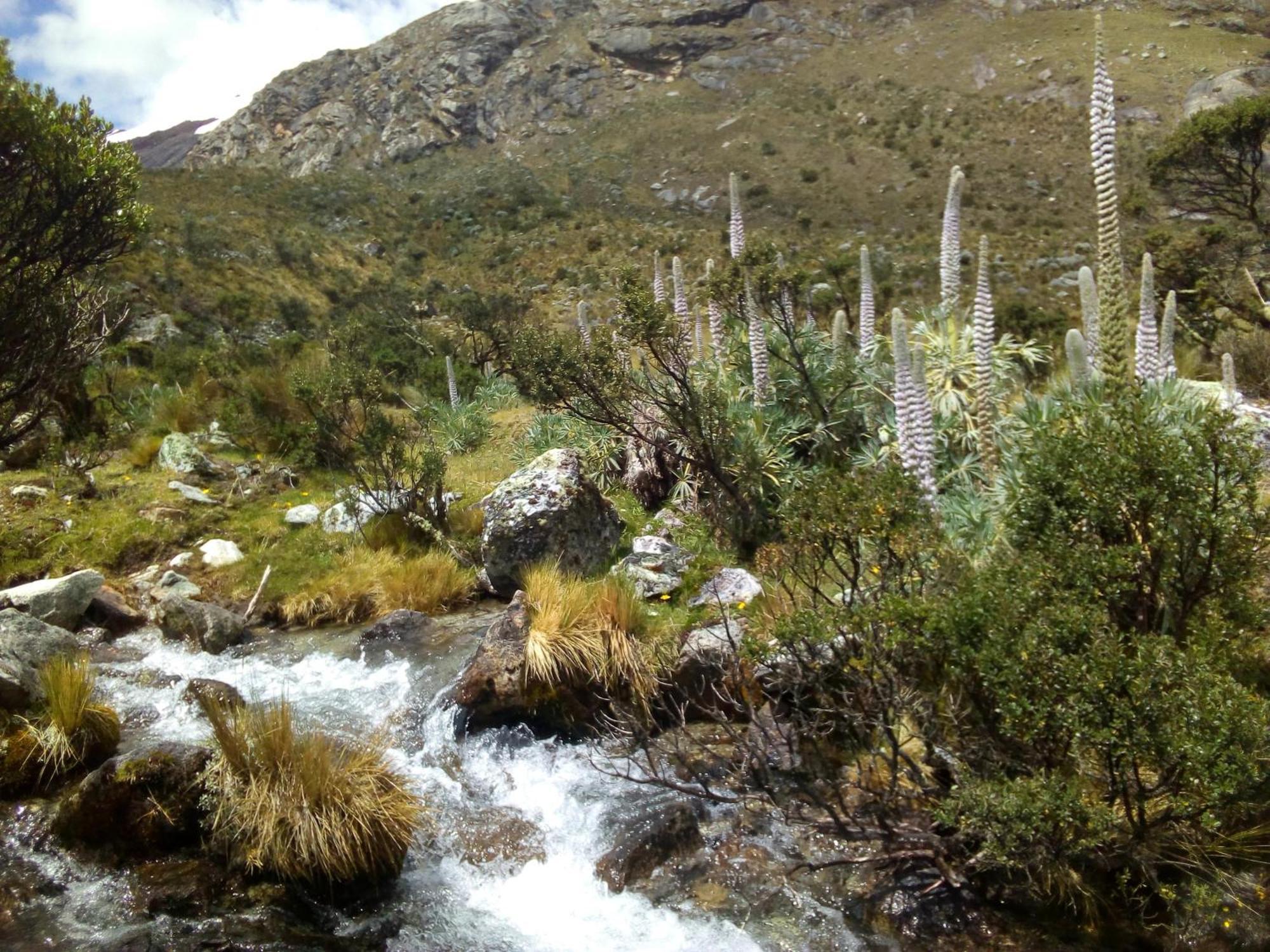 Bed and Breakfast Amazing Huaraz Экстерьер фото